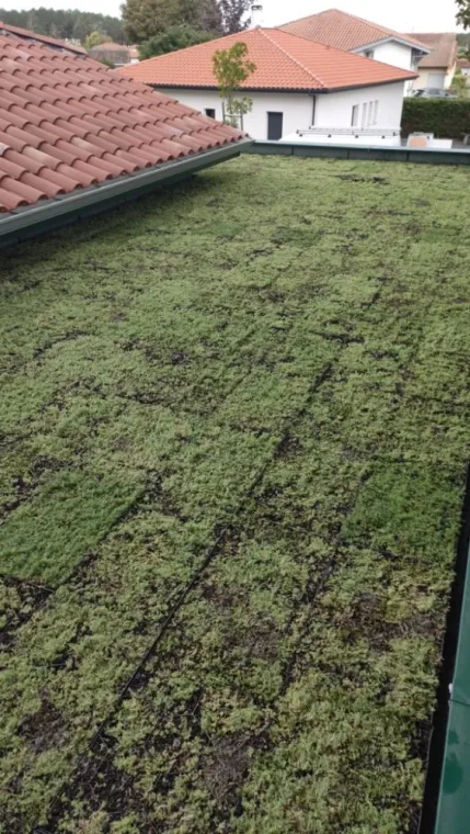 végétalisation et isolation de toitures terrasses étanchées par GD ETANCHEITE